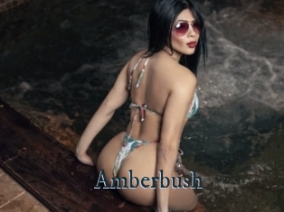Amberbush