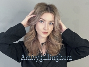 Amitygillingham