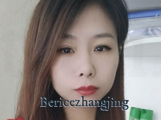 Bericezhangjing