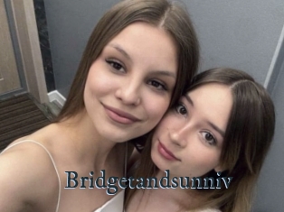 Bridgetandsunniv