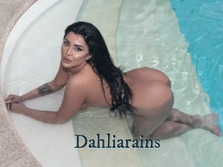 Dahliarains