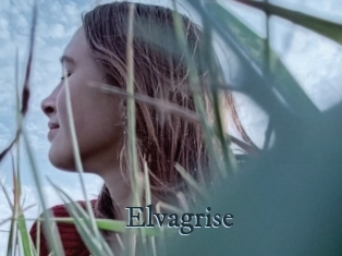 Elvagrise