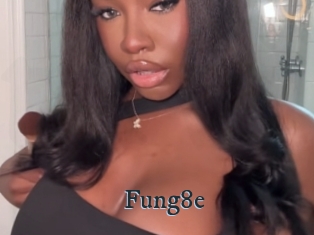 Fung8e