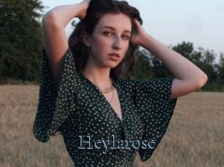 Heylarose
