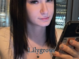 Lilygrows