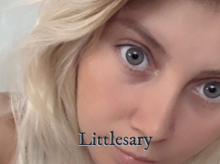 Littlesary