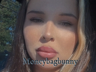 Moneybagbunny