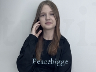 Peacebigge