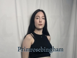 Primrosebingham
