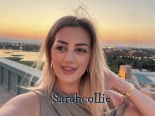 Sarahcollie