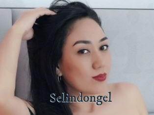 Selindongel