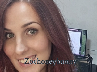 Zoehoneybunny